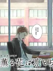 老友厨神赛美食综艺全集免费观看